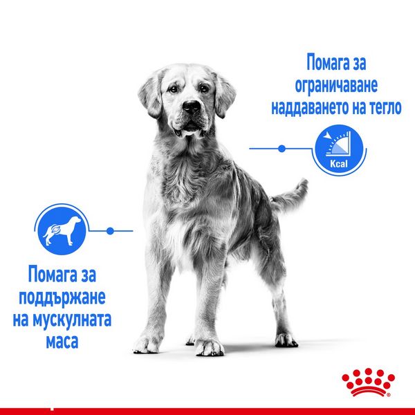 Храна Royal Canin CCN Medium Light Weight Care - 12 кг 00000002584 снимка
