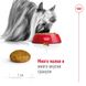 Храна Royal Canin SHN X-Small Adult, 1,5 кг 00000002760 снимка 4