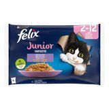 Хапки в желе Purina Felix Fantastic Junior Сhicken - 4x85 гр 00000003359 снимка