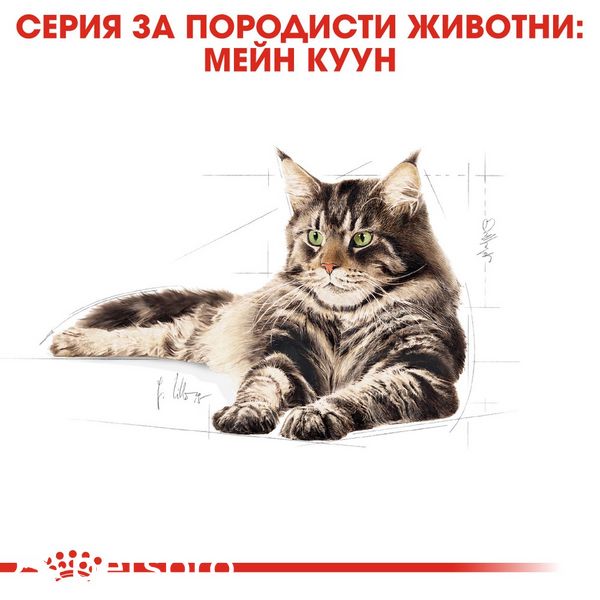 Храна Royal Canin FBN Maine Coon Adult, 2 кг 00000002614 снимка