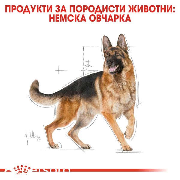 Храна Royal Canin BHN German Shepherd Adult, 3 кг 00000002542 снимка