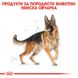 Храна Royal Canin BHN German Shepherd Adult, 3 кг 00000002542 снимка 2