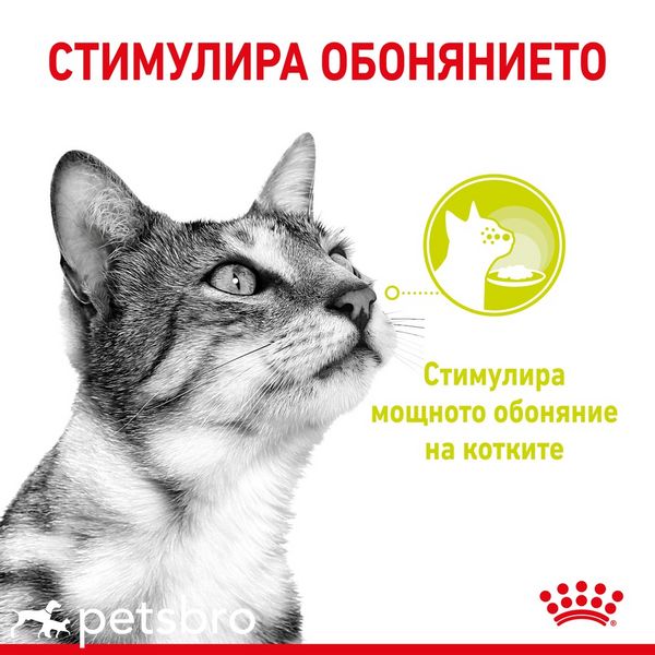 Храна Royal Canin FHN Sensory Smell in Gravy - 12х85 гр 00000002693 снимка