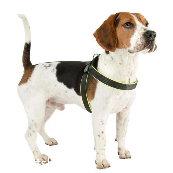 Шлея Ferplast Agila Fluo 6 Harness Yellow 57x65 см 00000004635 фото