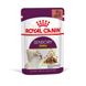 Храна Royal Canin FHN Sensory Smell in Gravy - 12х85 гр 00000002693 снимка 1