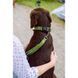 Нашийник Nobby Collar "Classic Preno" - Red, XS 00000001627 снимка 3