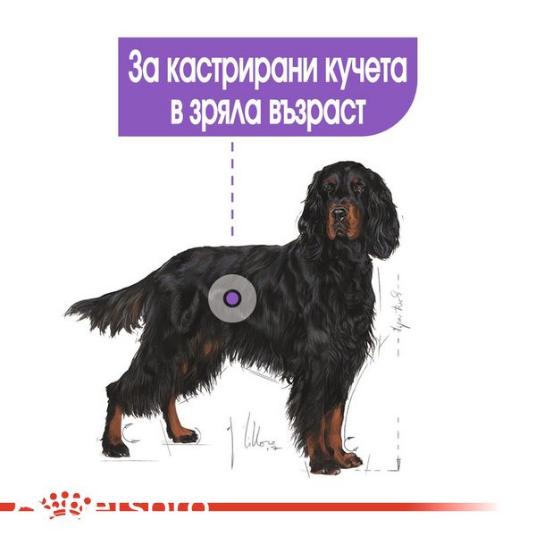 Храна Royal Canin CCN Maxi Sterilised - 12 кг 00000002581 снимка