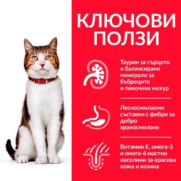 Сухой корм Hill's Science Plan Feline Mature 7+ Chicken, 1,5 кг 00000003696 фото