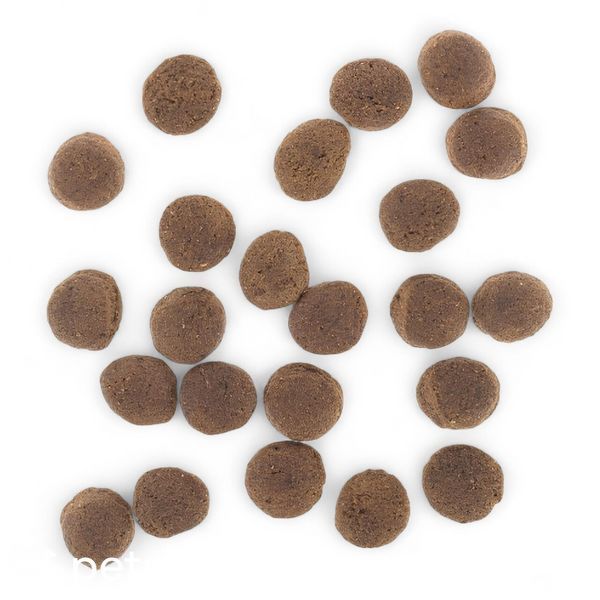 Сухой Корм Wolfsblut Vetline Gastrointestinal - 12 кг 00000009084 фото