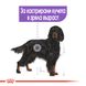 Храна Royal Canin CCN Maxi Sterilised - 12 кг 00000002581 снимка 2