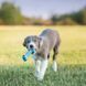 Играчка Kong Puppy Goodie Bone Small 00000009853 снимка 2