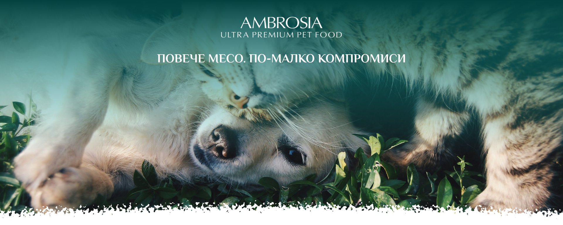 Ambrosia