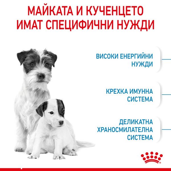 Храна Royal Canin SHN STARTER Mother & Babydog - MINI, 8 кг 00000002758 снимка
