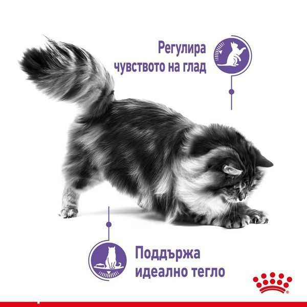 Храна Royal Canin FCN Appetite Control Care, 10 кг 00000002631 снимка