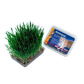 Лакомство Nobby Cat grass - 100 гр (71900) 00000000842 фото