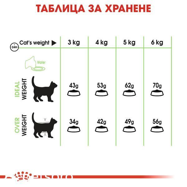 Храна Royal Canin FCN Digestive Care, 400 гр 00000002636 снимка