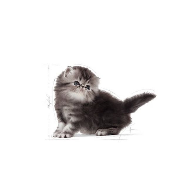 Храна Royal Canin FBN Persian Kitten, 2 кг 00000002622 снимка