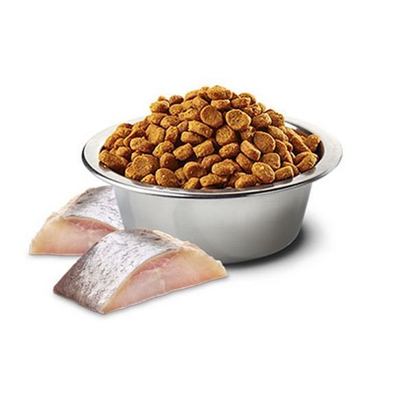 Суха храна Farmina N&D Spirulina Cat Herring Adult - 1,5 кг 00000003728 снимка