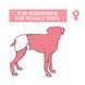 Памперси Nobby Diapers f. female dogs - 12 бр, L 00000002430 снимка 2