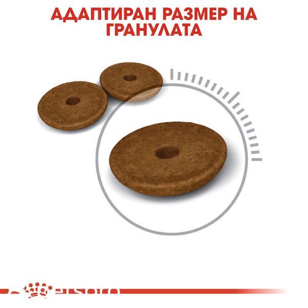 Корм Royal Canin FCN Digestive Care, 10 кг 00000002637 фото