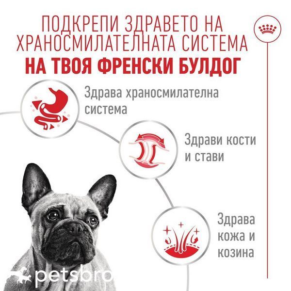 Пастет Royal Canin French Bulldog Loaf - 12x85 гр 00000010039 снимка