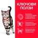 Суха храна Hill's Science Plan Feline Adult Hairball & Indoor, 10 кг 00000003671 снимка 3