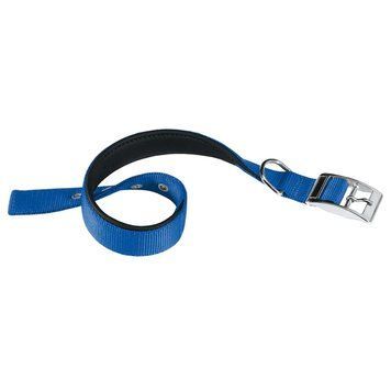 Ошейник Ferplast Daytona Blue C, 25/45 00000004351 фото