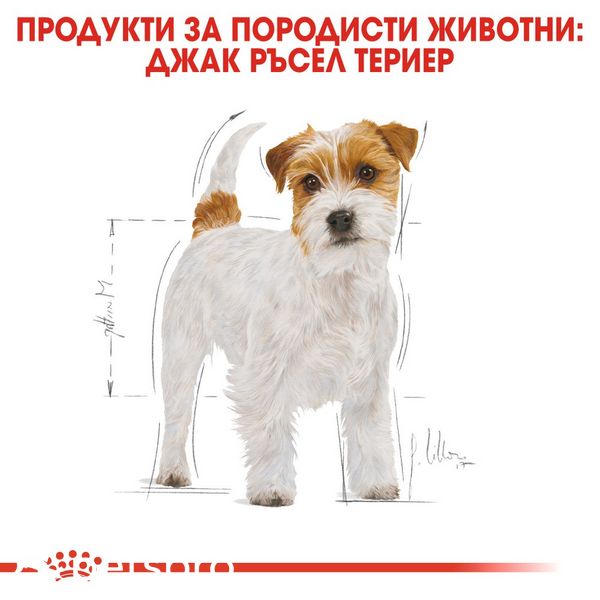 Храна Royal Canin BHN Jack Russell Terrier Adult - 1,5 кг 00000002550 снимка