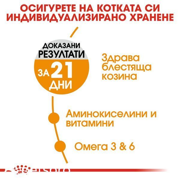 Храна Royal Canin FCN Hair And Skin Care, 400 гр 00000002642 снимка