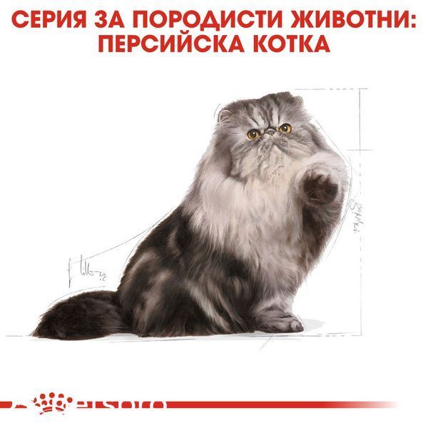 Храна Royal Canin FBN Persian Adult, 2 кг 00000002619 снимка