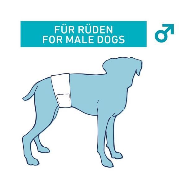 Памперси Nobby Diapers f. male dogs - 12 бр, M-L 00000002434 снимка