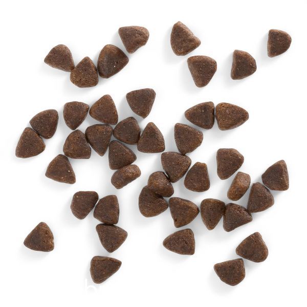 Сухой Корм Wolfsblut Wild Plain Small Breed - 7,5 кг 00000009090 фото