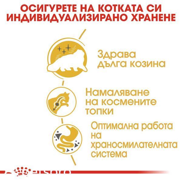 Храна Royal Canin FBN Persian Adult, 10 кг 00000002620 снимка