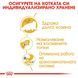 Храна Royal Canin FBN Persian Adult, 10 кг 00000002620 снимка 4