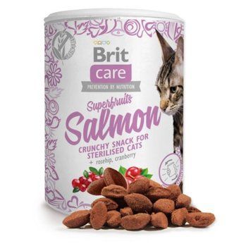 Лакомство Brit Care Cat Snack Superfruits Salmon - 100 гр 00000005235 фото