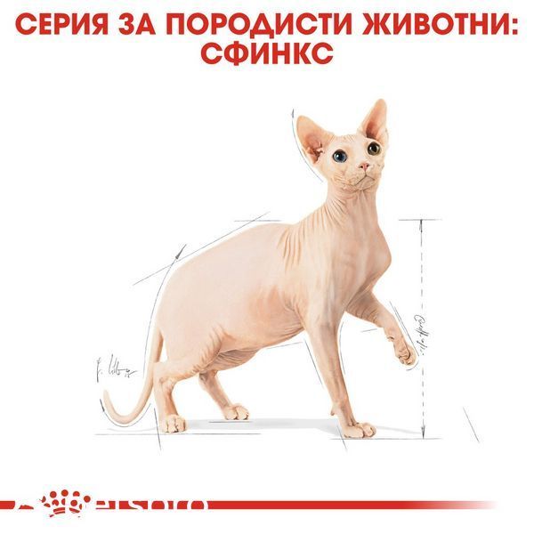Храна Royal Canin FBN Sphynx Adult, 400 гр 00000002628 снимка
