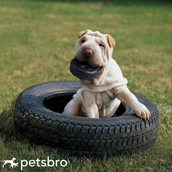 Играчка Kong Traxx, S-M 00000009877 снимка