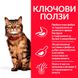 Суха храна Hill's Science Plan Feline Adult Sensitive Stomach & Skin, 300 гр 00000003684 снимка 3