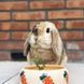 Миска Nobby Ceramic feeding trough "CARROT", 250 мл 00000003179 фото 3