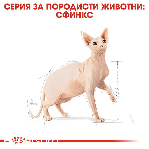 Храна Royal Canin FBN Sphynx Adult, 2 кг 00000002627 снимка