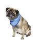 Охлаждаща кърпа Nobby Pet Ice Bandana, S 00000002407 снимка 2