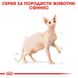 Храна Royal Canin FBN Sphynx Adult, 2 кг 00000002627 снимка 2