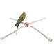 Жердочка Nobby Sisal perch - 60 cm 00000003038 фото 3