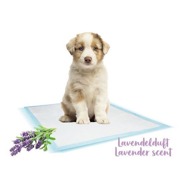 Пелени Nobby Training Pads smell of lavender , L - 10 бр 00000002424 снимка