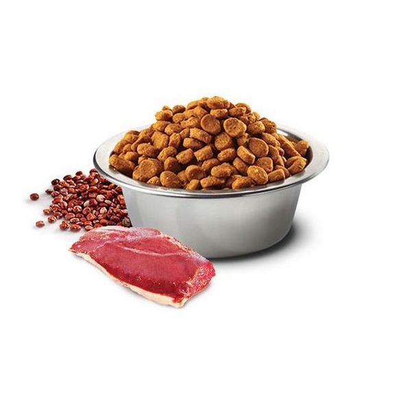 Суха храна Farmina N&D Quinoa Cat Hairball Adult, 300 гр 00000003720 снимка