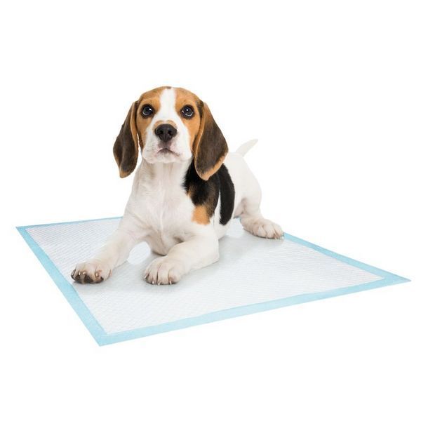 Пелени Nobby Training Pads smell of lavender , L - 10 бр 00000002424 снимка