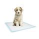 Пелени Nobby Training Pads smell of lavender , L - 10 бр 00000002424 снимка 3