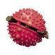 Играчка Nobby Rubber snackball with spikes 00000001241 снимка 2