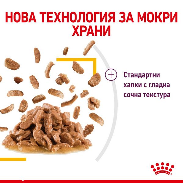 Храна Royal Canin FHN Sensory Taste in Gravy - 12х85 гр 00000002694 снимка