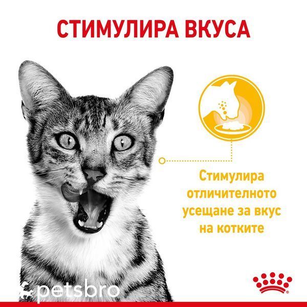 Храна Royal Canin FHN Sensory Taste in Gravy - 12х85 гр 00000002694 снимка